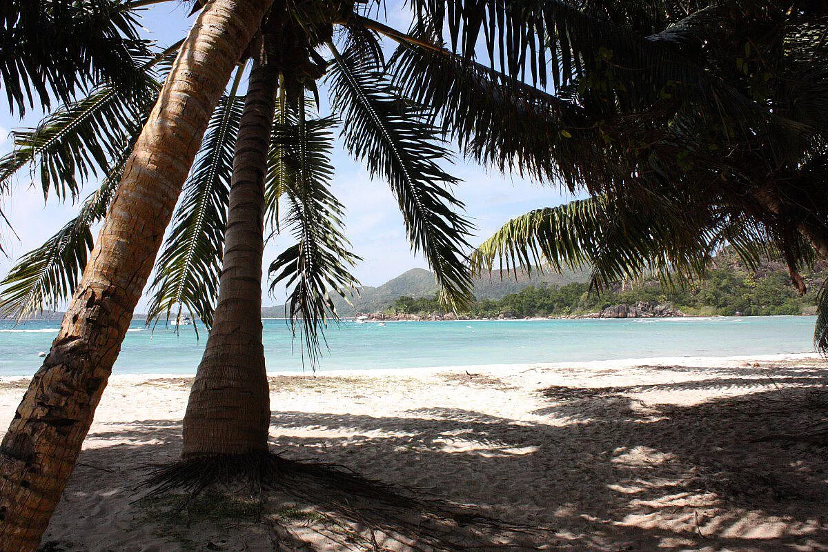 Le chiamano Paradise Islands…