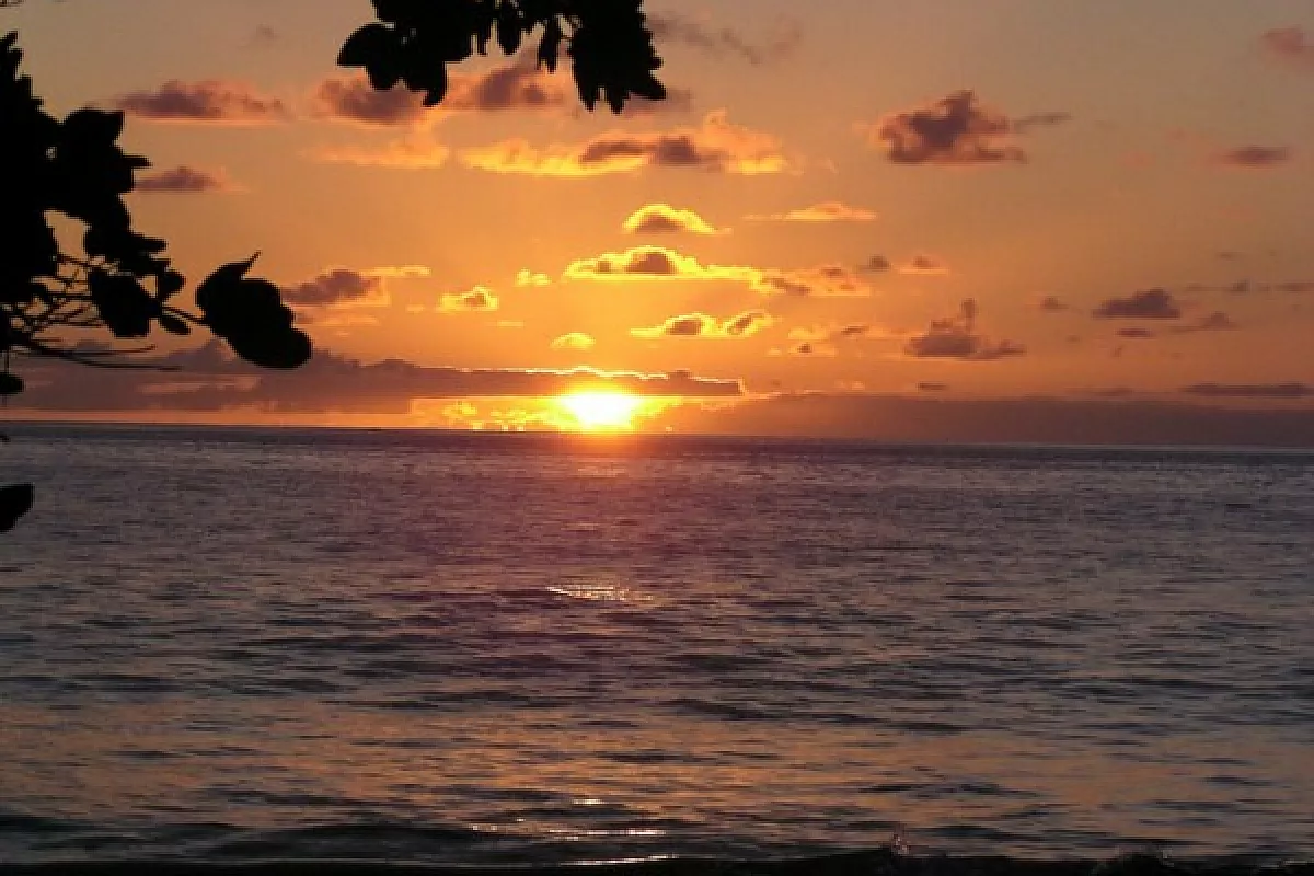 Seychelles… La Digue in pillole!