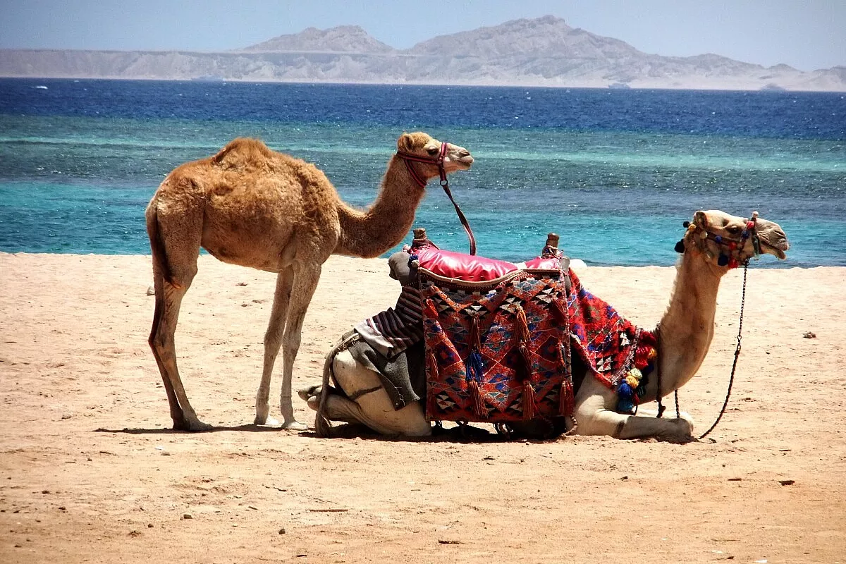 Sharm el Sheikh