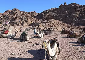 turistipercaso sharm-el-sheikh-wd4yp