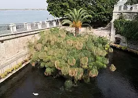 turistipercaso sicilia-2vm2x