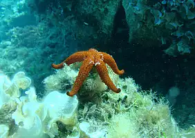 turistipercaso sicilia-bbjwr