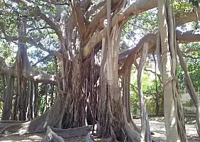 turistipercaso sicilia-bp8x3