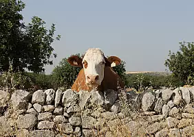 turistipercaso sicilia-ej5a6