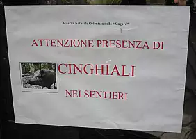 turistipercaso sicilia-qtj6v