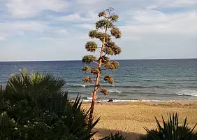 turistipercaso sicilia-uqr6n