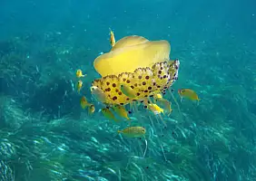 turistipercaso sicilia-xzaaw