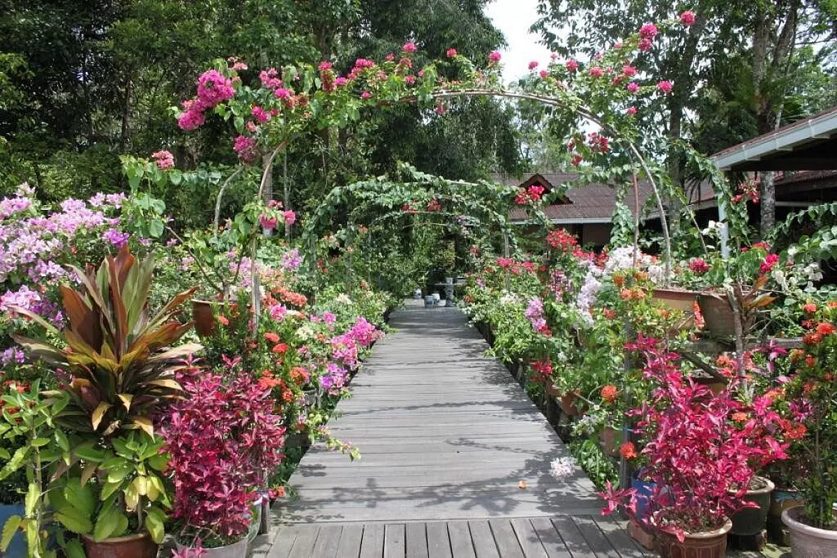 Borneo Sabah: tra natura, scimmie e spiagge …… che meraviglia!