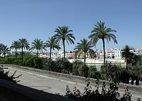 turistipercaso siviglia-vhjq7