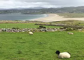 turistipercaso sligo-7kj4t