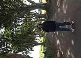 turistipercaso sligo-chfet