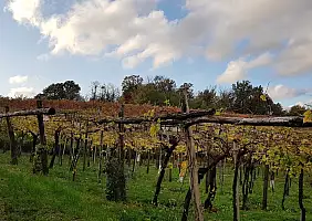 turistipercaso slovenia-69evk