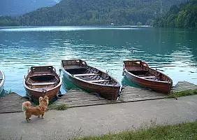 turistipercaso slovenia-6db6h