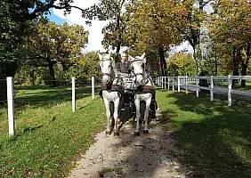 turistipercaso slovenia-ekc7j
