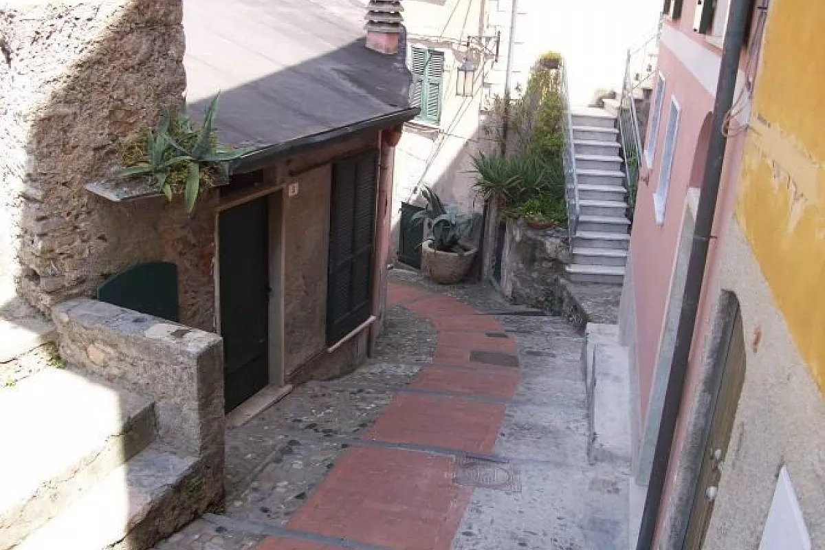 LE VIUZZE DI TELLARO
