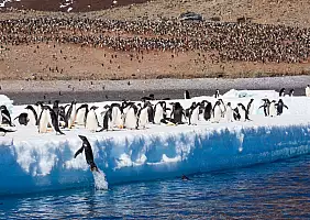 turistipercaso south-georgia-16bbj