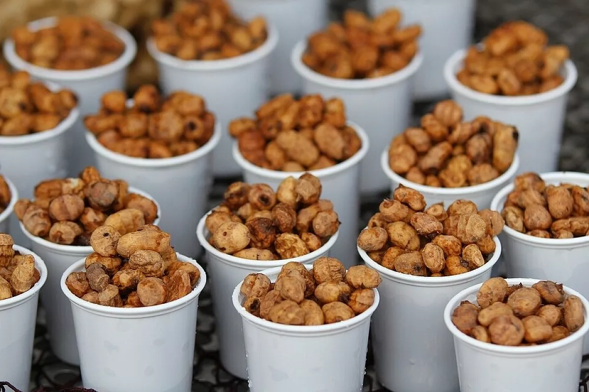 Horchata di orxata de xufa