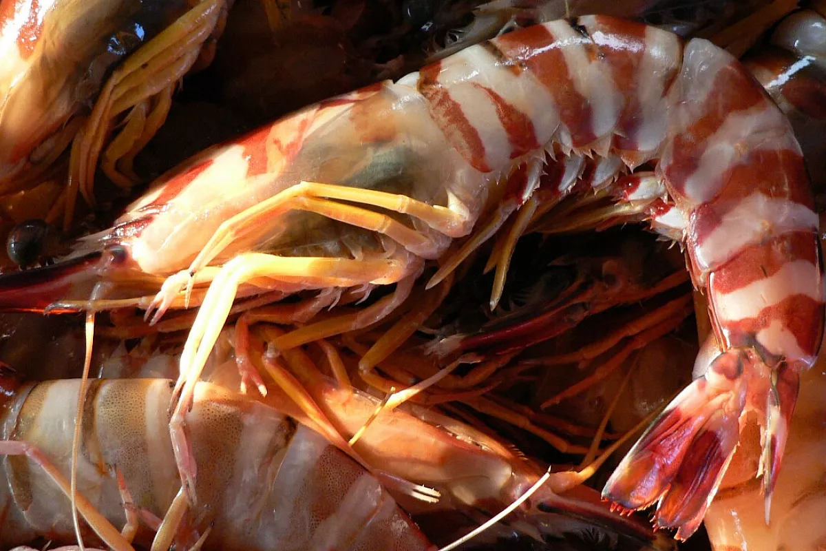 Gamberi all’aglio