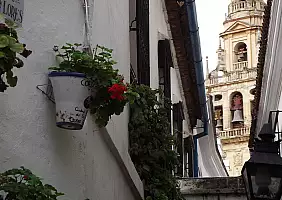turistipercaso spagna-mpj44