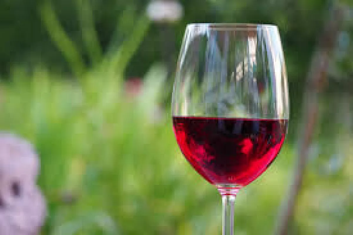 Vino tinto de verano