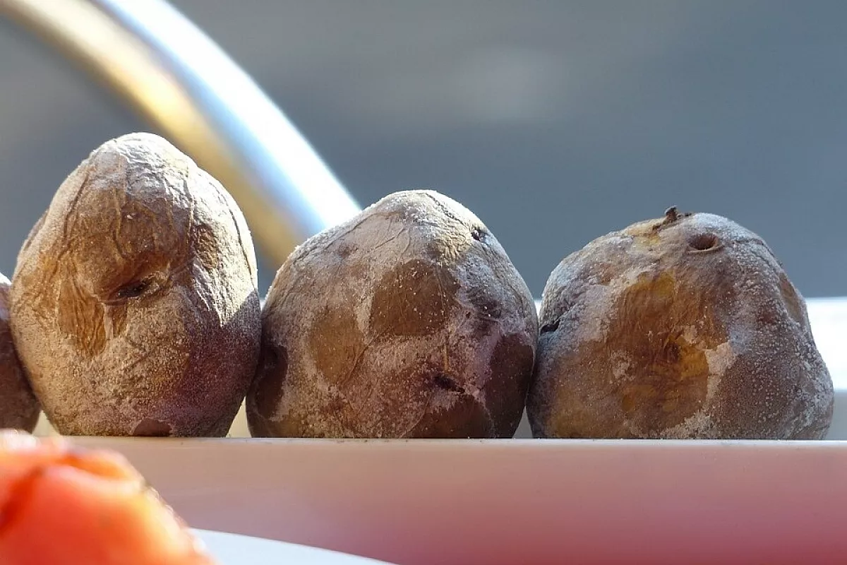 Papas Arrugadas con Mojo