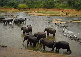 turistipercaso sri-lanka-2dm3k