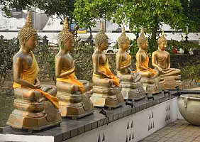 turistipercaso sri-lanka-cbbua