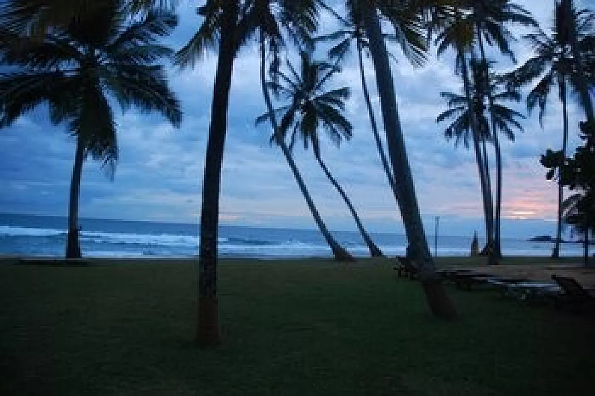 Serendipity, un tour in Sri Lanka da ricordare