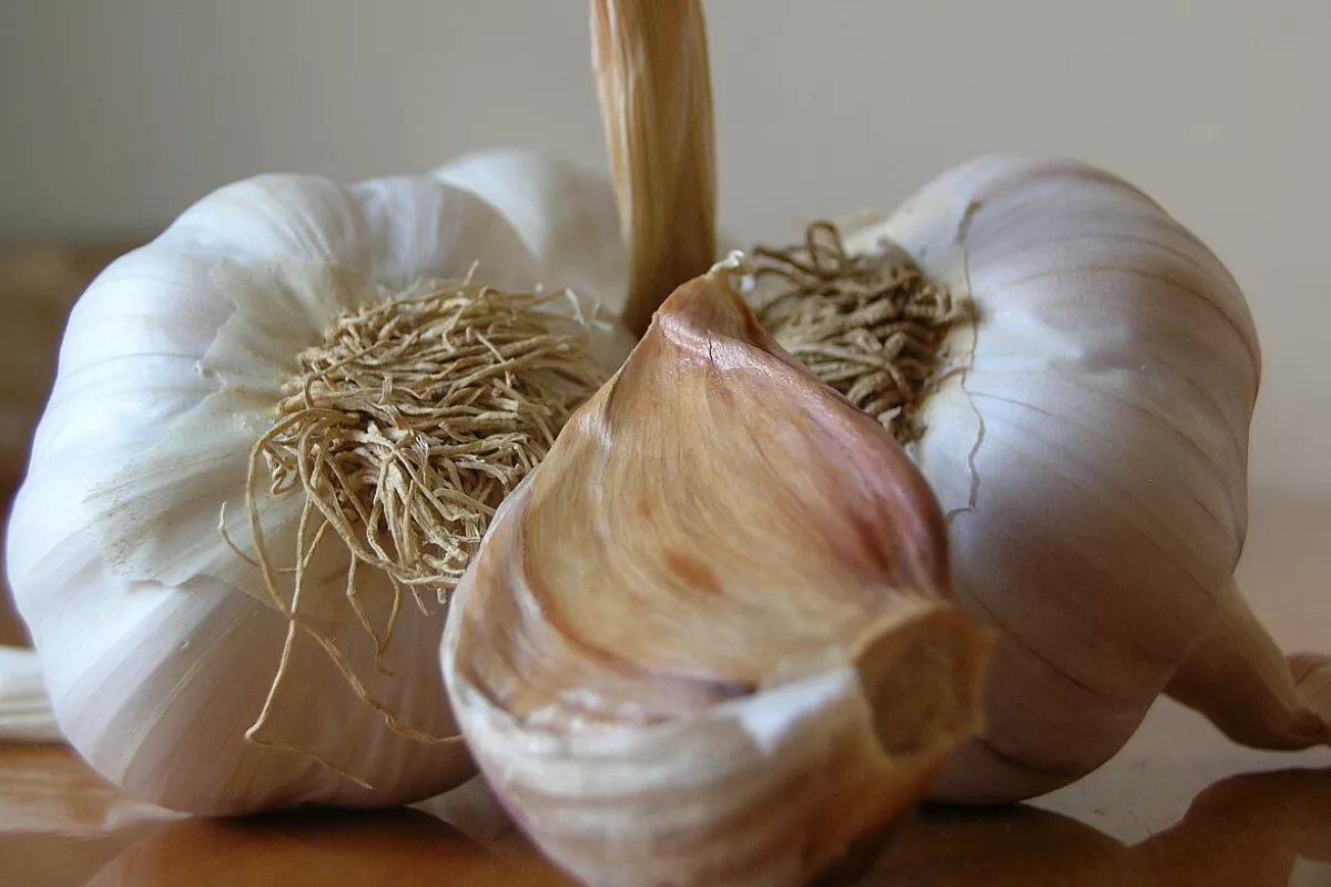 Purea all’aglio