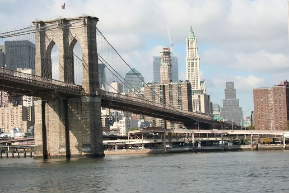 Le pantere grigie alla scoperta di New York