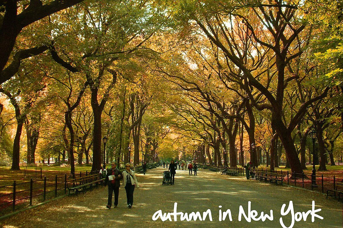 Central Park 1