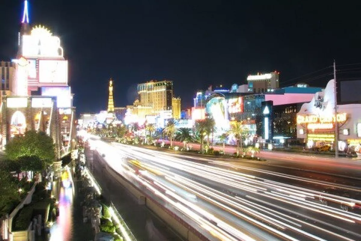 I bisonti della strada in West U.S.A