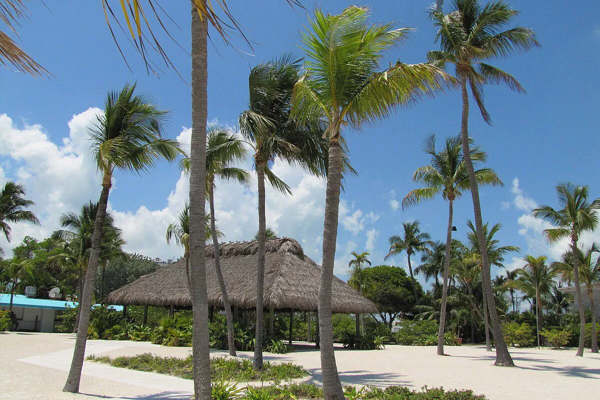Il meglio della Florida: Miami, Keys, Everglades e Orlando
