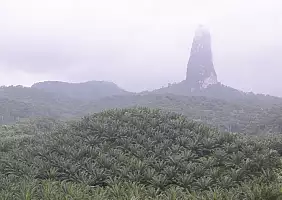 turistipercaso stp-qq1s2