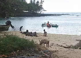 turistipercaso stp-vhwpd