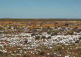 turistipercaso sud-africa-1cthr
