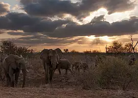 turistipercaso sud-africa-2yhra