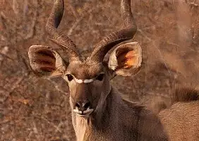 turistipercaso sud-africa-3332x