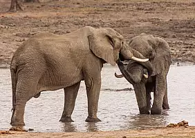 turistipercaso sud-africa-38x5n