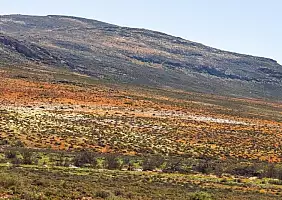 turistipercaso sud-africa-5tj7x
