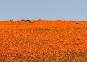 turistipercaso sud-africa-5urgn