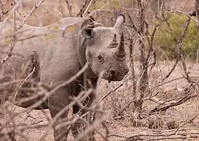 turistipercaso sud-africa-7bbsf