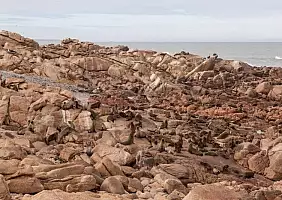 turistipercaso sud-africa-9kftn