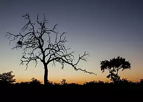turistipercaso sud-africa-c5raa