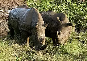 turistipercaso sud-africa-c6v6n