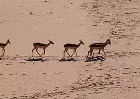 turistipercaso sud-africa-cggzm