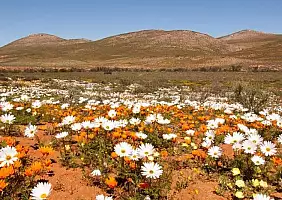 turistipercaso sud-africa-eredg