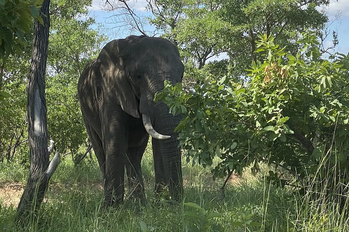 Sud Africa in famiglia