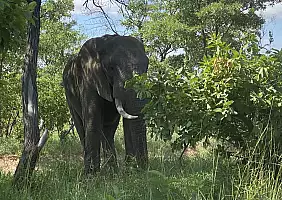 turistipercaso sud-africa-g8smr