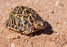 turistipercaso sud-africa-hzavs